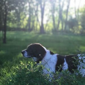 Meet your Posher, Caitlin